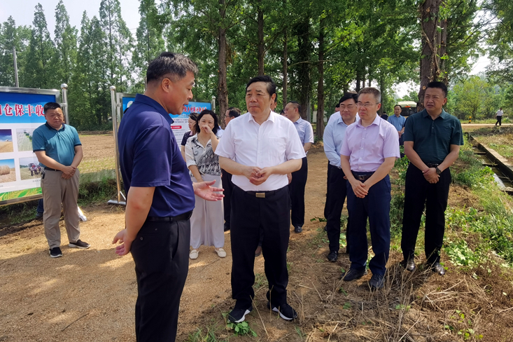 许继伟调研辉隆全椒现代农业示范园