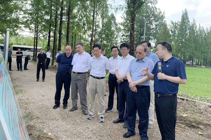 沈强调研辉隆全椒现代农业示范园