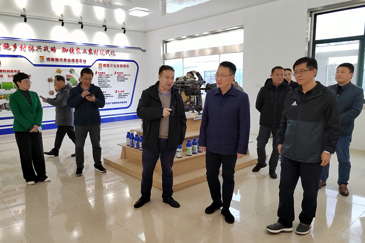 何逢阳调研辉隆庐江农服中心
