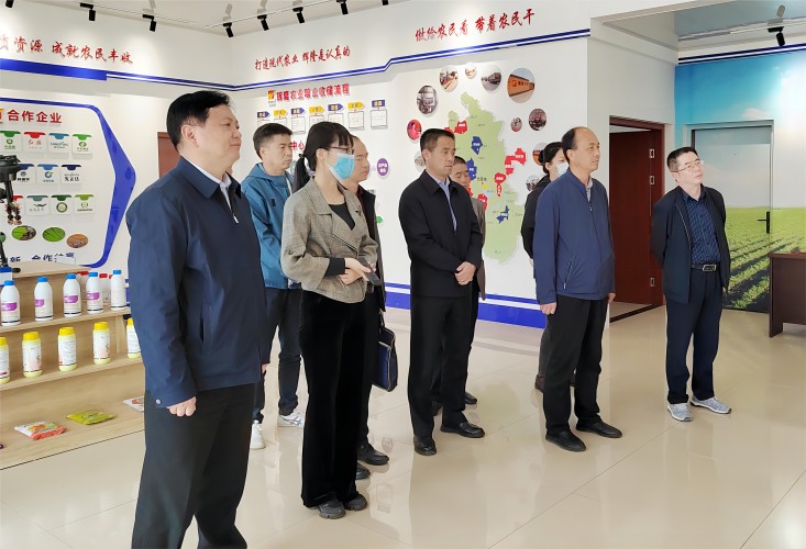 陕西省供销社赴辉隆中成科技、庐江农服中心调研